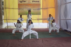 independence-day-img15