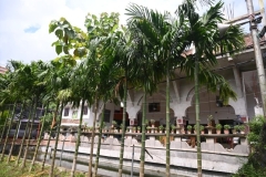 building-img3