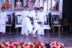 program-img13