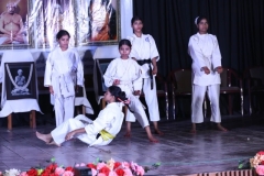 program-img8