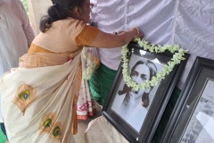 Independance-day-img3