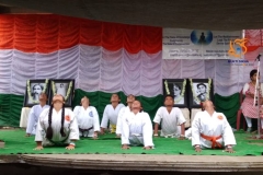 Independance-day-img5