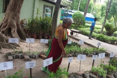 Muktishika-plantation-img3