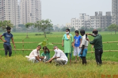 Muktishika-plantation-img4