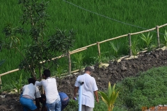 Muktishika-plantation-img5